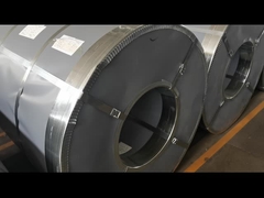 สตาร์ลคอลเล่ห์แกลวนิสต์